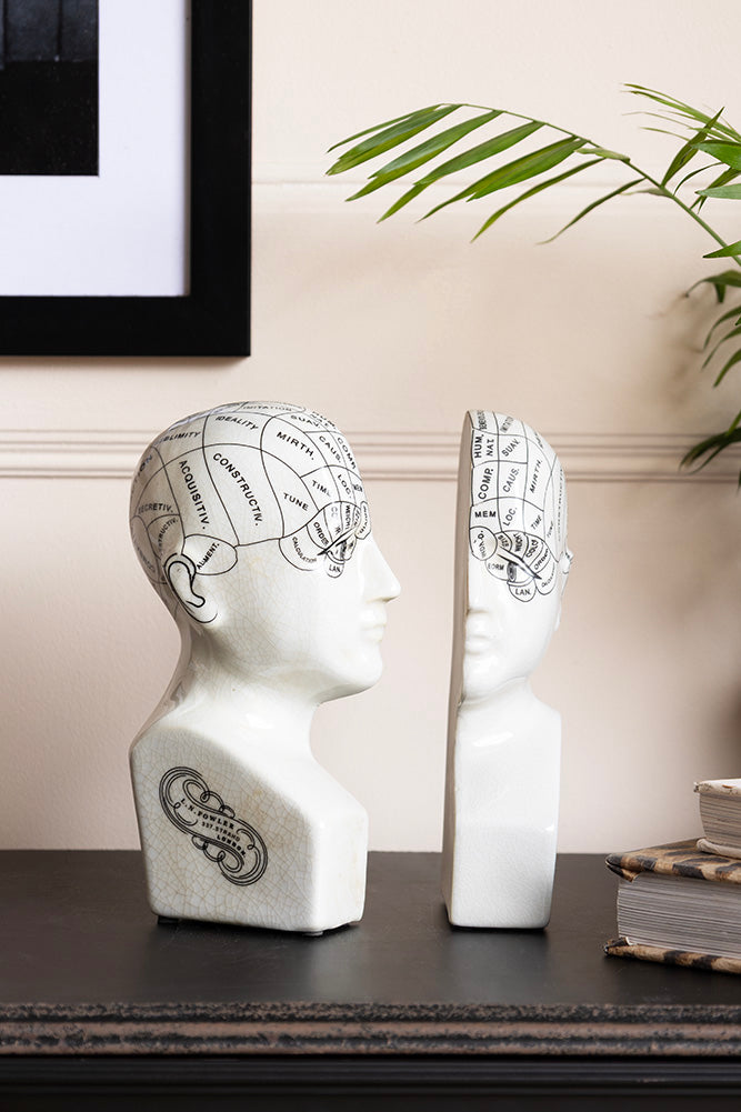 Phrenology Head Ornament / Bookends