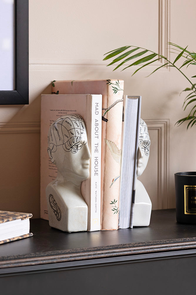 Phrenology Head Ornament / Bookends