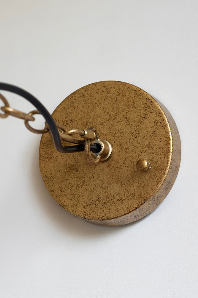 Tropical Leaf Ceiling Pendant Light