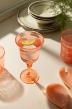 Acrylic Coral Pink Picnic Wine Glass