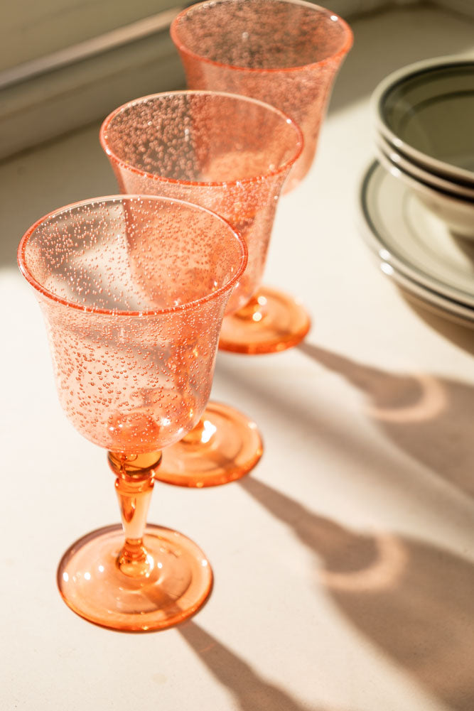 Acrylic Coral Pink Picnic Wine Glass