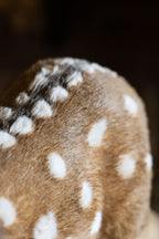 Baby Deer Christmas Decoration