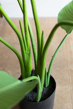 Beautiful Faux Ravenala Artificial Plant