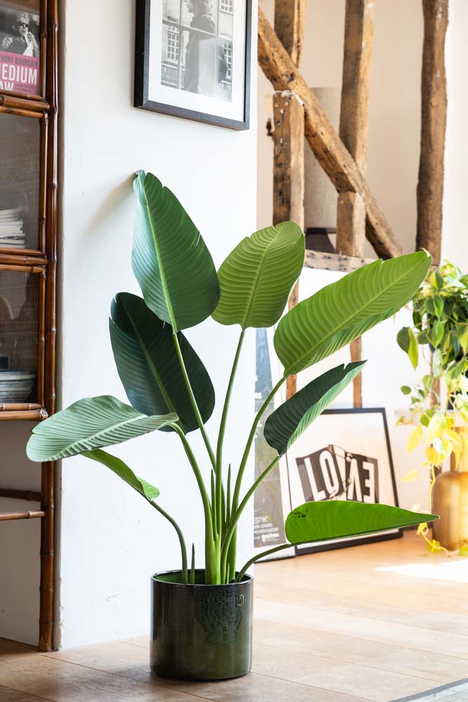 Beautiful Faux Ravenala Artificial Plant