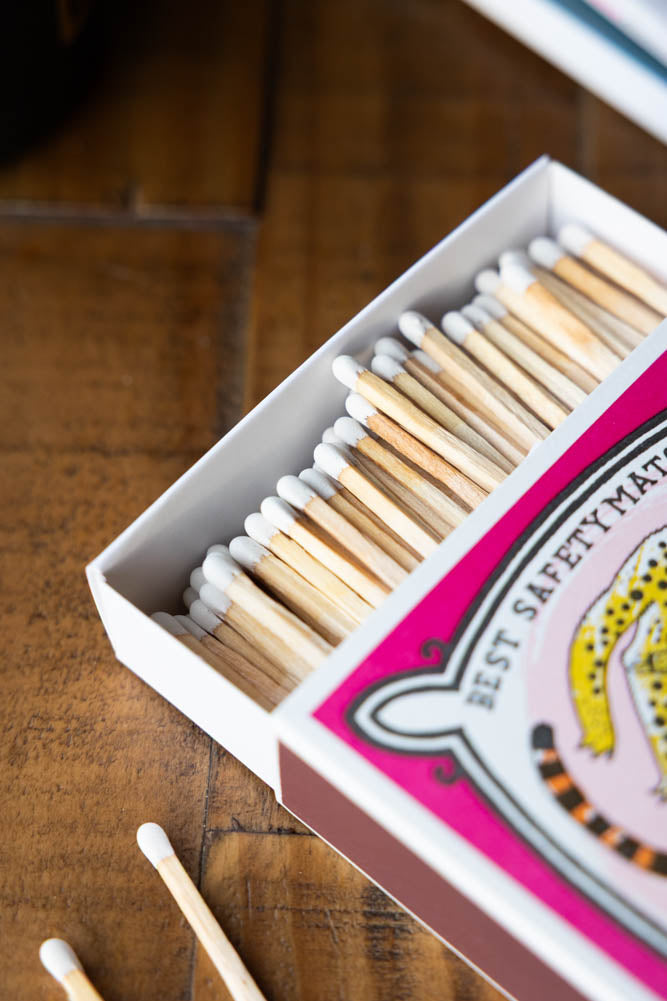 Chasing Cats Matches