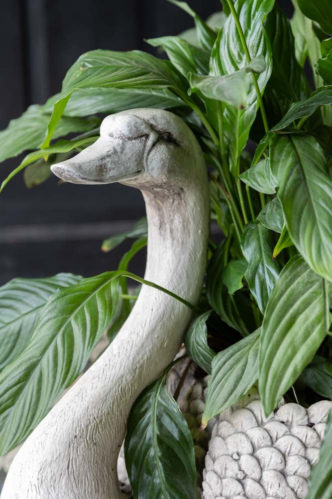 Elegant Swan Planter