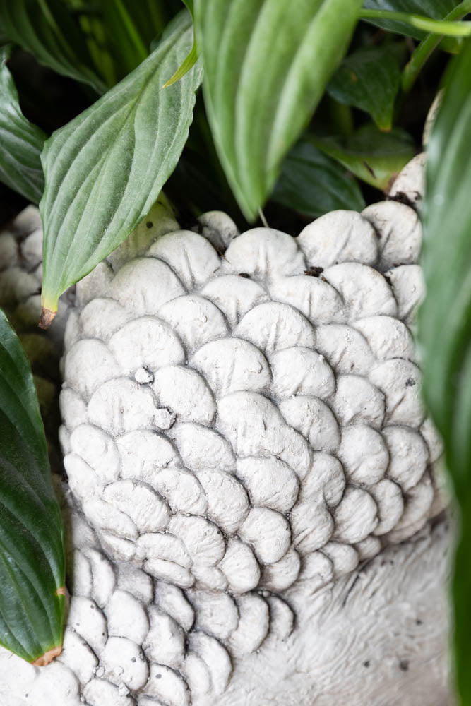 Elegant Swan Planter