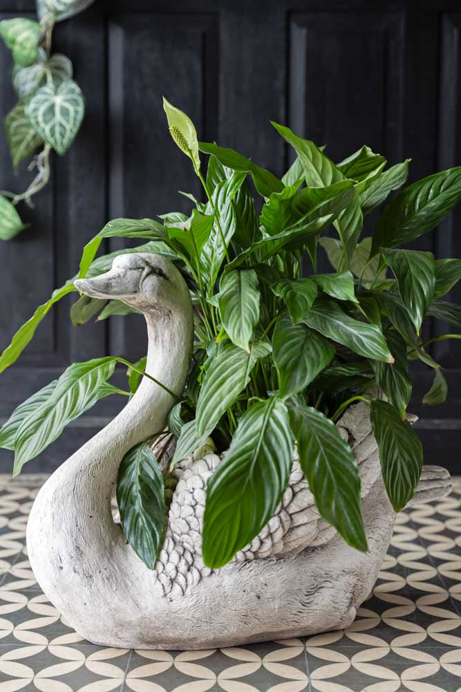 Elegant Swan Planter