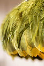 Fabulous Feather Ceiling Light Shade - Olive Green
