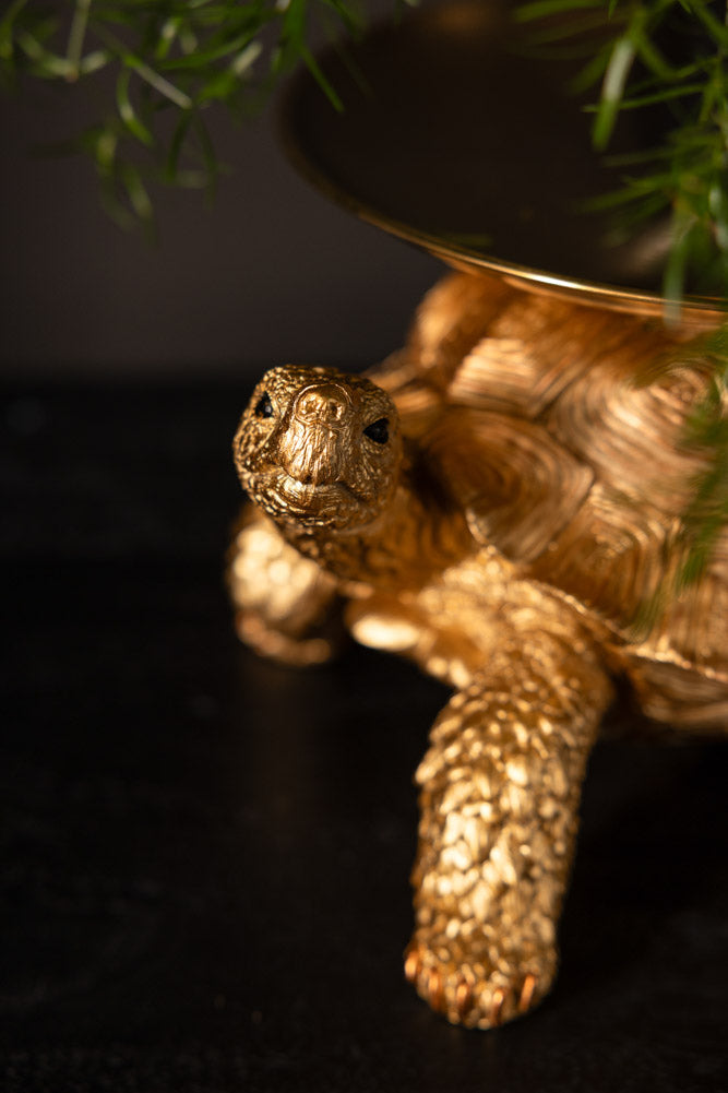 Gold Tortoise With Tray