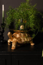 Gold Tortoise With Tray