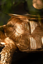 Gold Tortoise With Tray