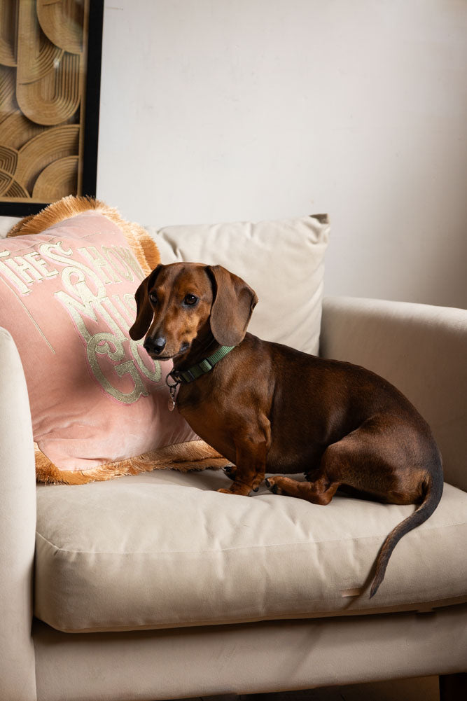 Pink Velvet Double-Fringed Show Must Go On Embroidered Cushion