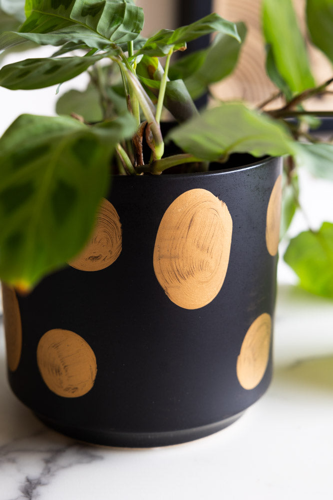 Handcrafted Black & Metallic Planter - Available In Two Sizes