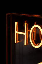 House Of Fun Neon Light Box