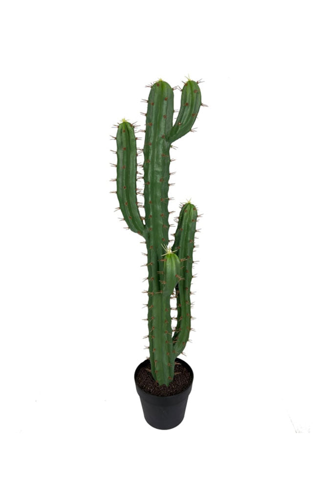 Large Faux Cactus Plant