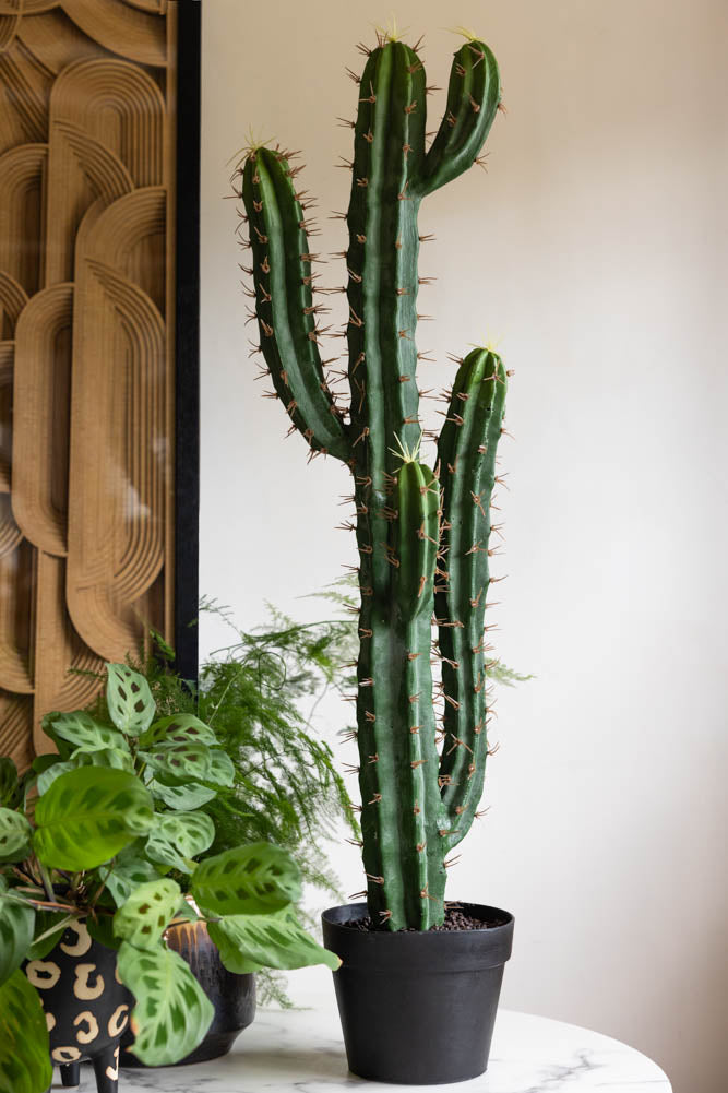 Large Faux Cactus Plant