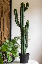 Large Faux Cactus Plant