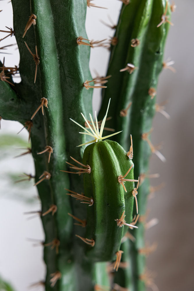 Large Faux Cactus Plant
