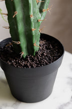Large Faux Cactus Plant