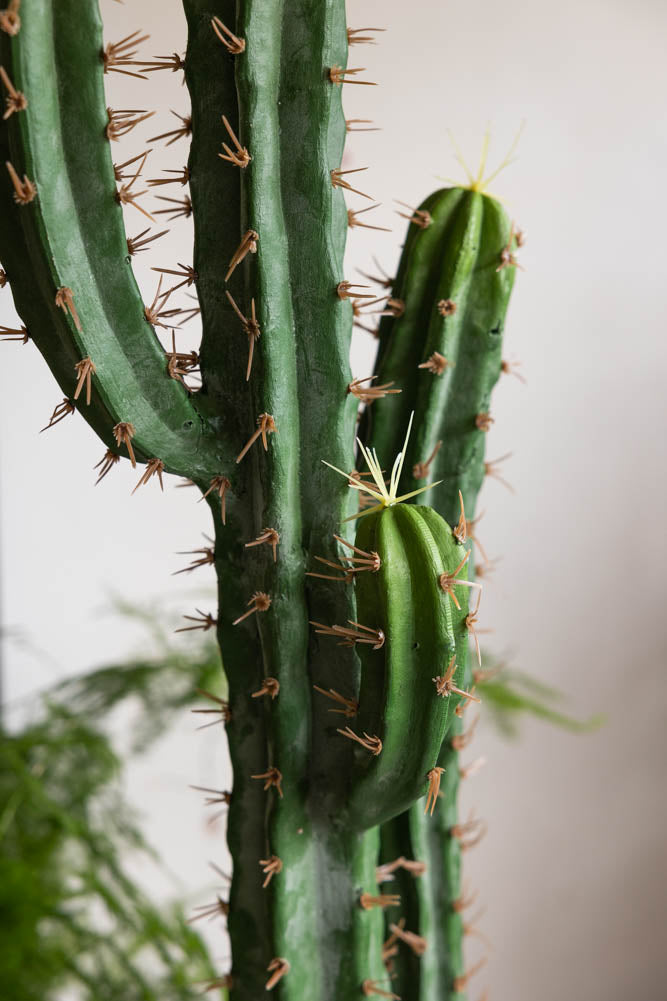 Large Faux Cactus Plant
