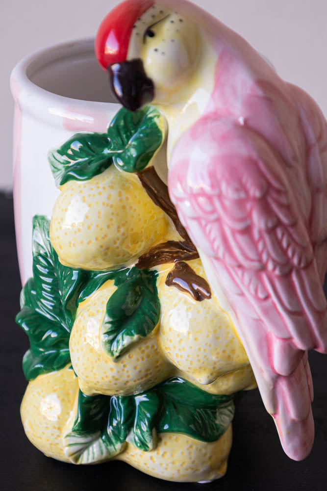 Lemon & Parrot Pink Stripe Indoor Planter