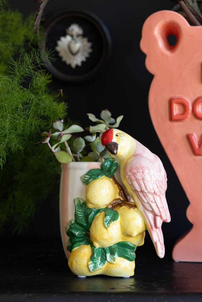 Lemon & Parrot Pink Stripe Indoor Planter
