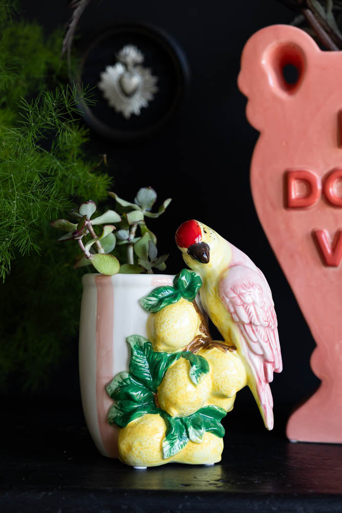 Lemon & Parrot Pink Stripe Indoor Planter