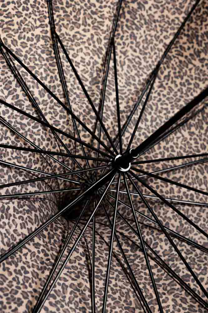 Leopard Print Umbrella