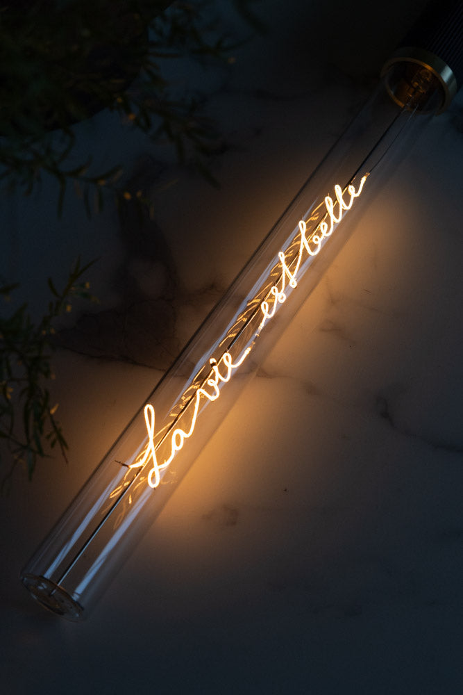 Message In A Tube Light - La Vie Est Belle