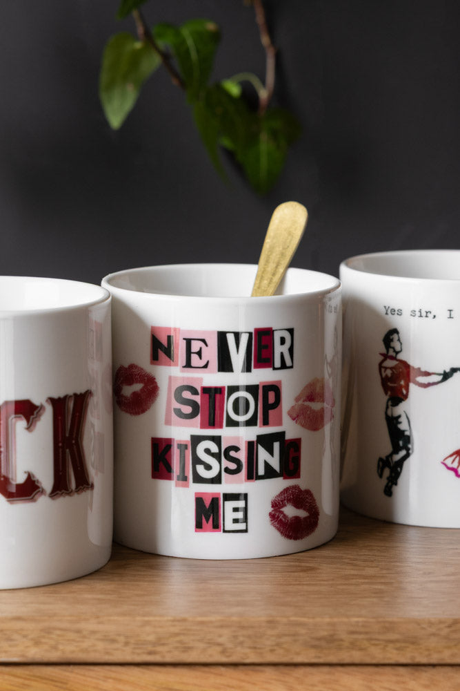 Never Stop Kissing Me Mug