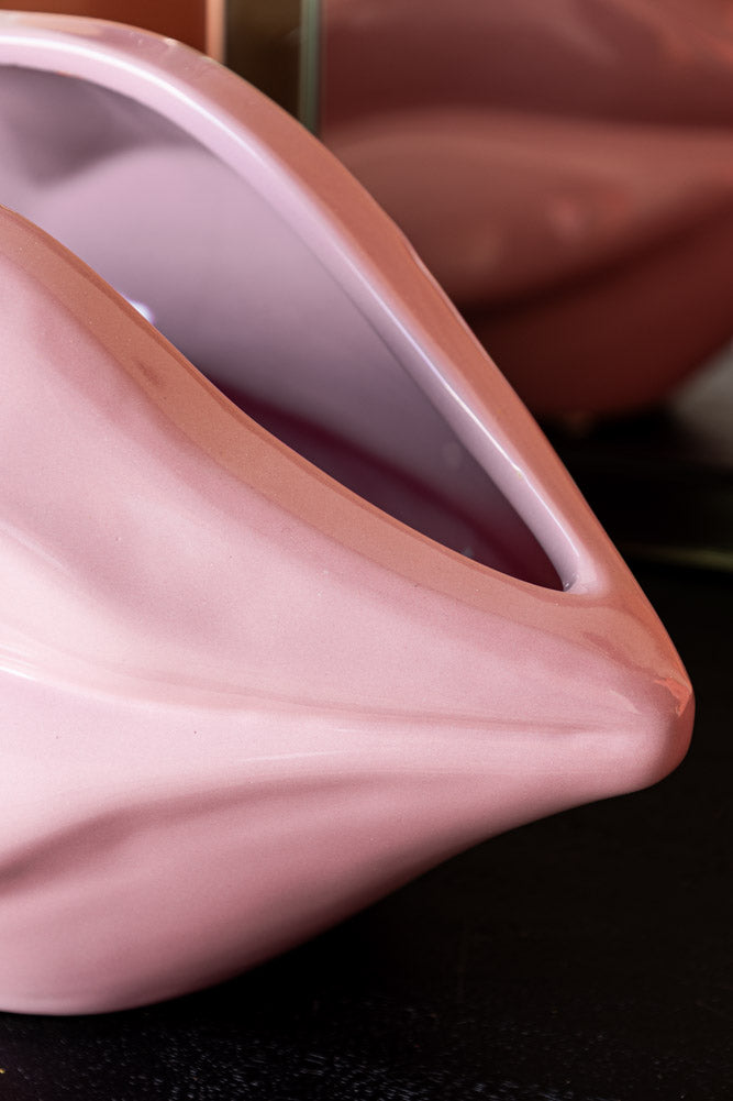 Pink Lips Indoor Planter