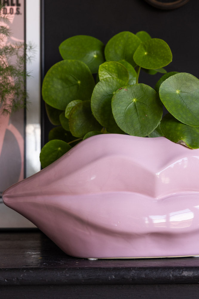 Pink Lips Indoor Planter