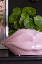 Pink Lips Indoor Planter