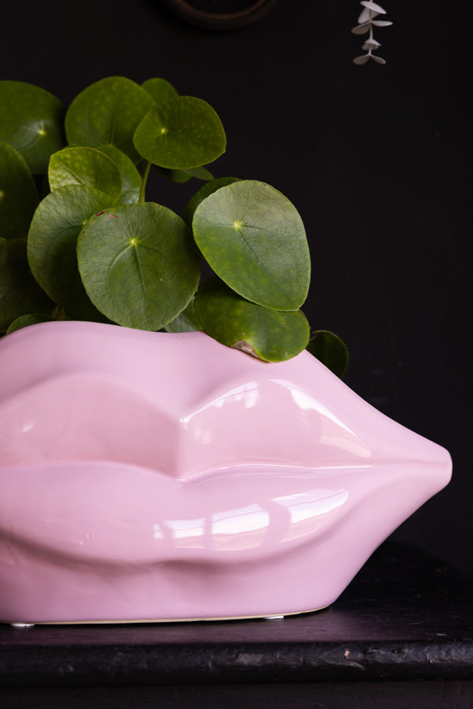 Pink Lips Indoor Planter