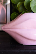 Pink Lips Indoor Planter