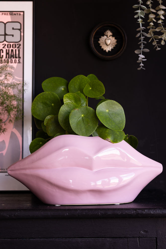 Pink Lips Indoor Planter