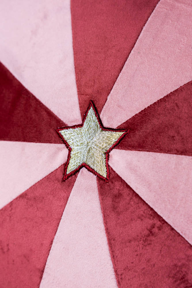 Pink & Red Embroidered Star Cushion