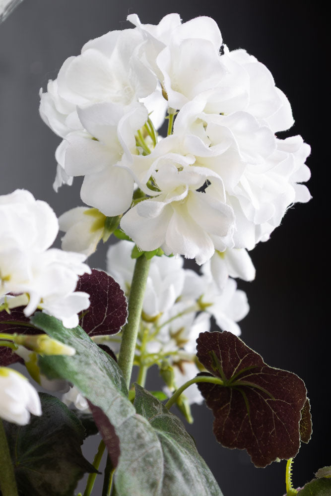 Potted Faux White Geranium