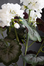 Potted Faux White Geranium