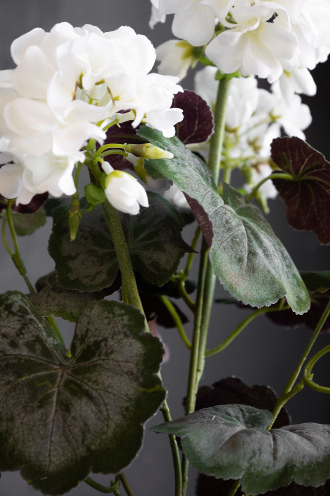 Potted Faux White Geranium
