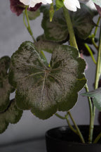Potted Faux White Geranium