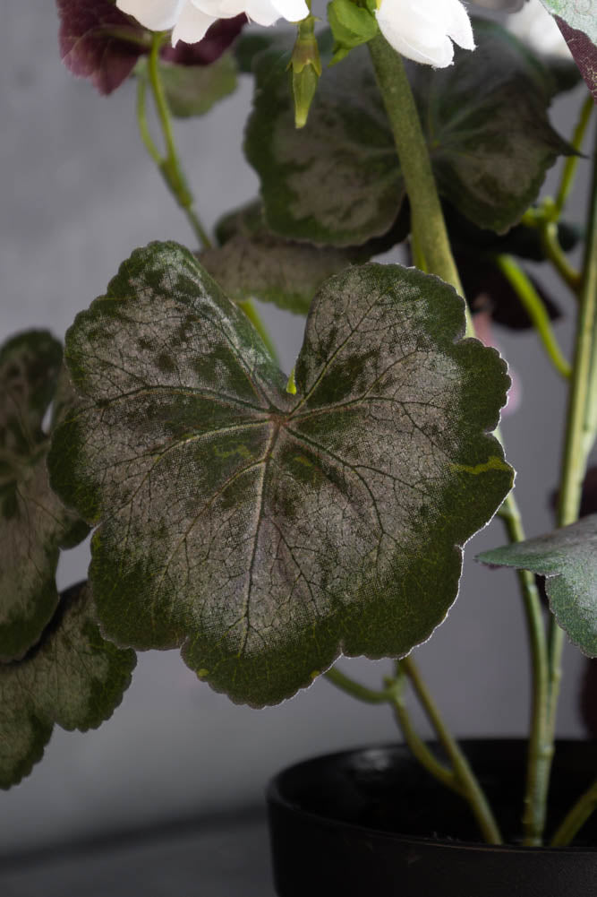 Potted Faux White Geranium