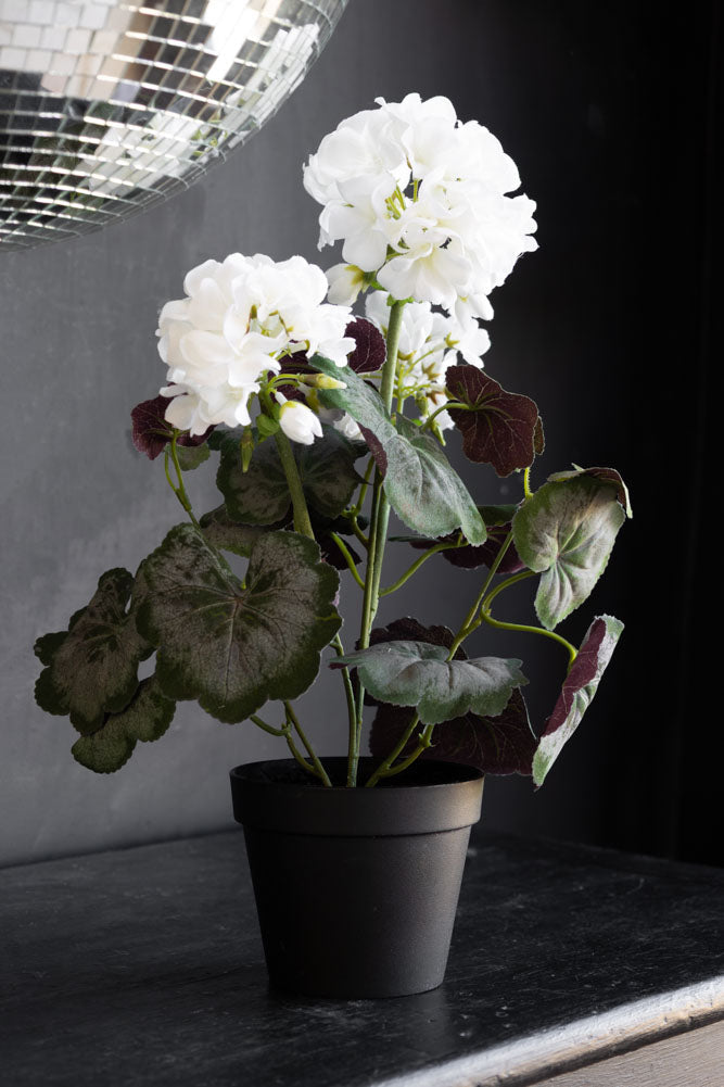 Potted Faux White Geranium
