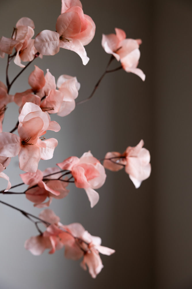 Pretty Pink Blossom Flower Stem