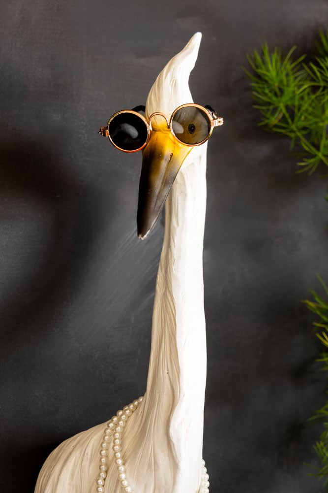 Ozzy The Quirky Bird With Sunglasses & Necklace Wall Art