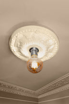 Ready-To-Paint Plaster Ceiling Rose - Medium
