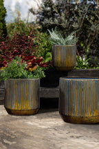 Set Of 3 Bronze Effect Planters