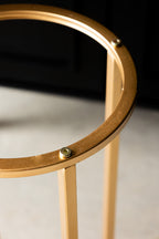 Set of 2 Black Planters With Gold Stand