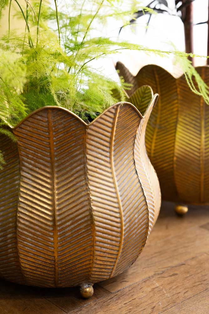 Set of 2 Rustic Petal Planters